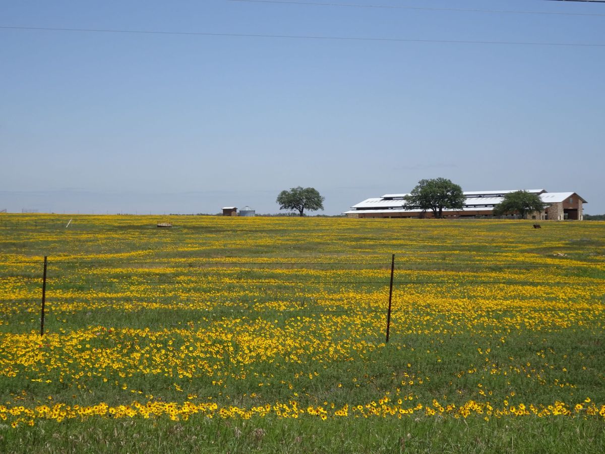 Southern Tier – Da Sanderson a Johnson City – Day&nbsp;29/35