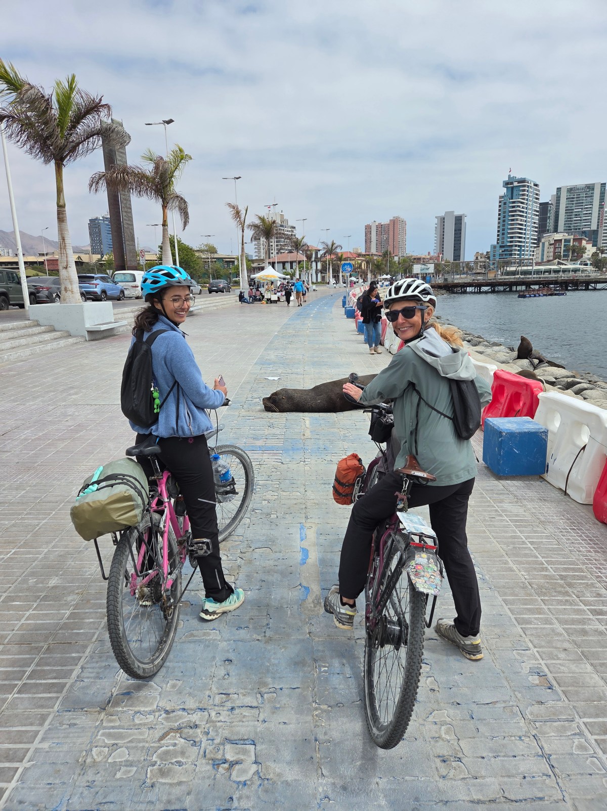 CILE – Dalla cima dei vulcani alla costa del&nbsp;Pacifico